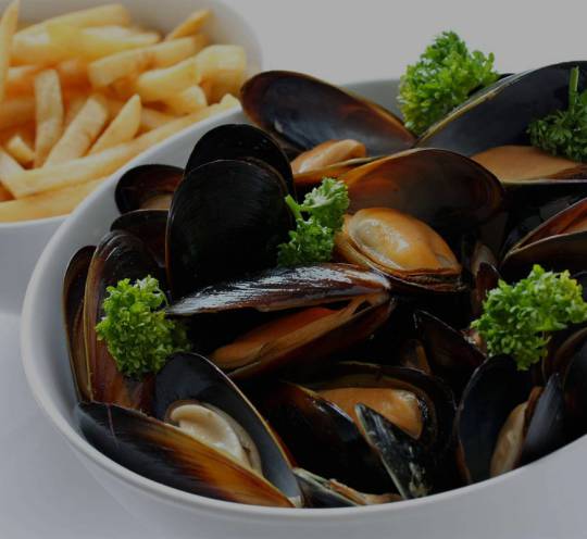 mussels